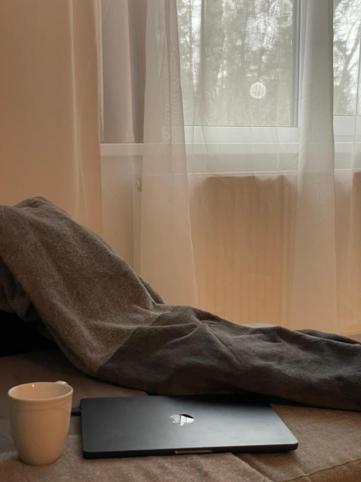 Taikos Apartmentai 2 Druskininkai Kültér fotó